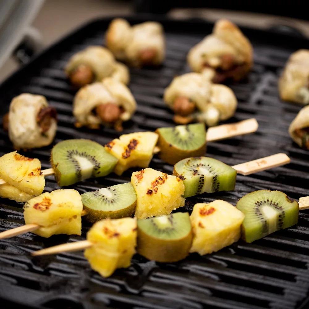 Portable Liquid Propane Gas Grill A1748