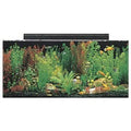 40 Gallon Black Aquarium Combo Y629241