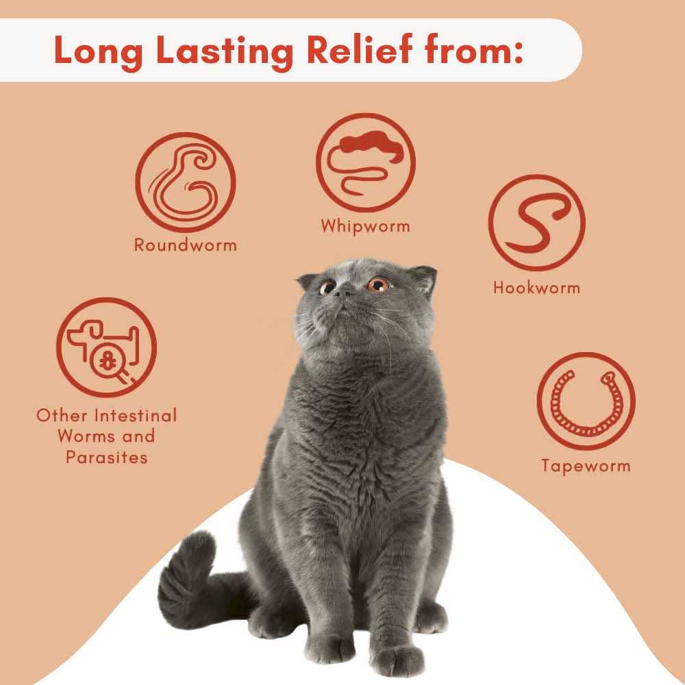 Broad Spectrum Dewormer for Cats and Kittens H6995