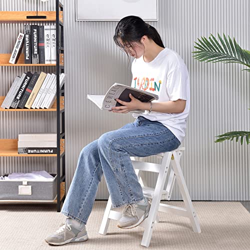 Folding Wooden Step Stool W55326