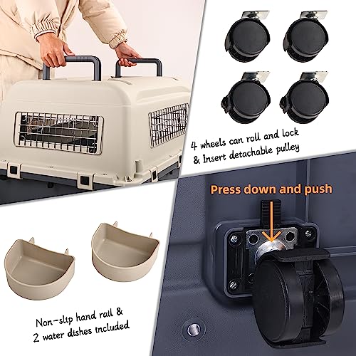 Plastic Airline Approved Travel Dog Crate, Medium X51977