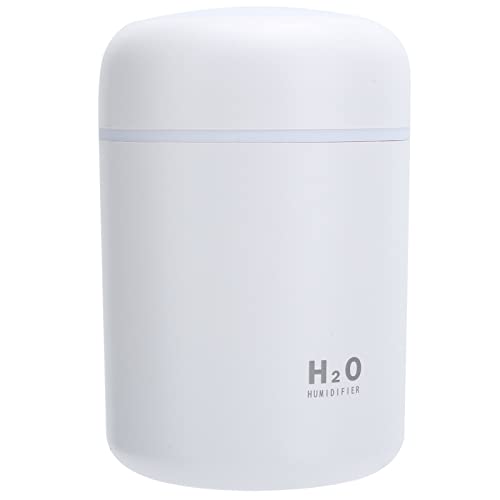 Mini USB Desktop Humidifier Y303811