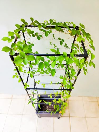 2 Pack 63" Large Outdoor Garden Planter Box with Trellis and Caster X815