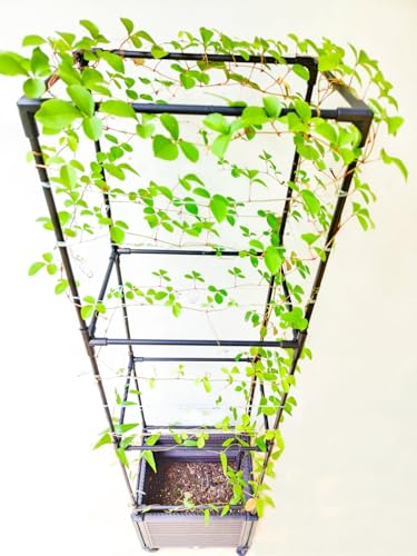 2 Pack 63" Large Outdoor Garden Planter Box with Trellis and Caster X815