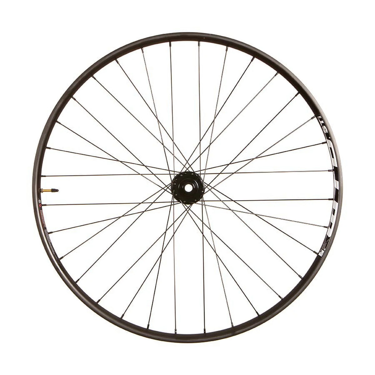 29'' Front Disc Wheel 32H 15mm TA 110mm F87897