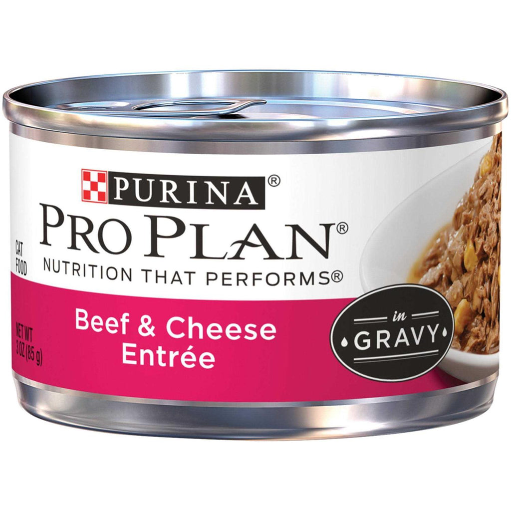 Cheese Entree in Gravy Cat Food J89931