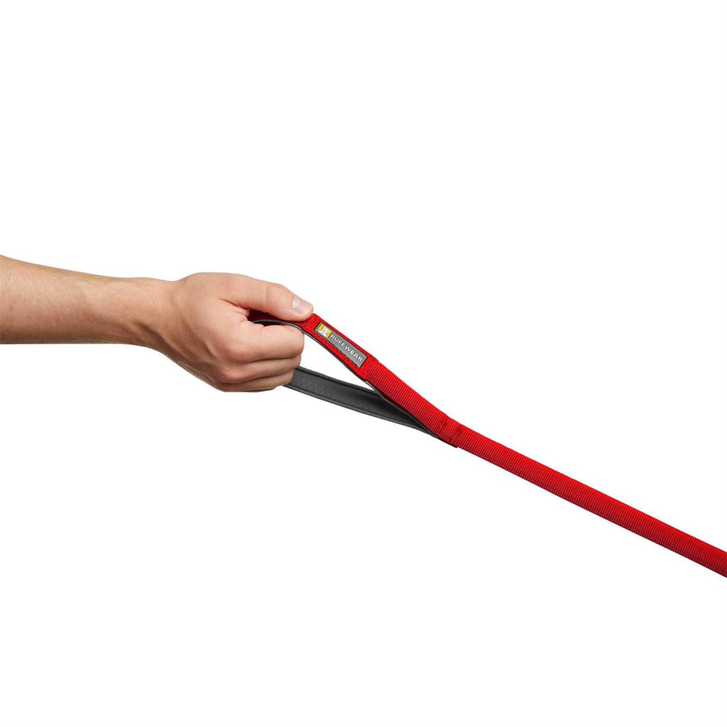 Leash C297604