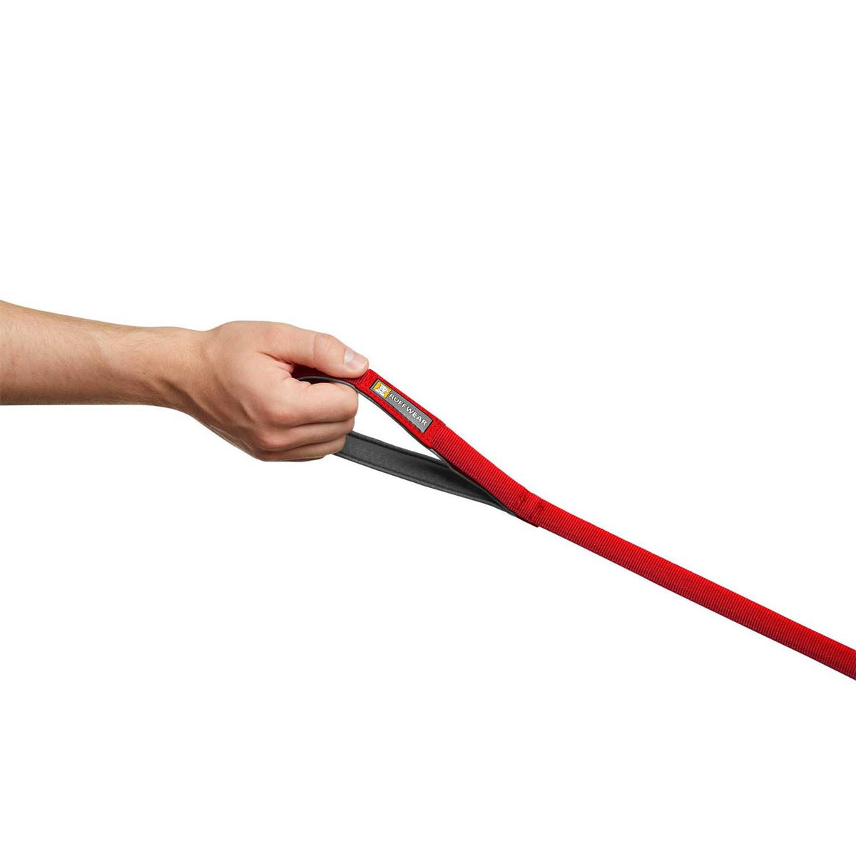 Leash C297604