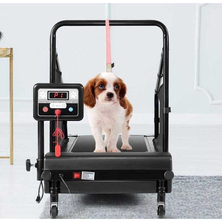 Dog Treadmill G1696