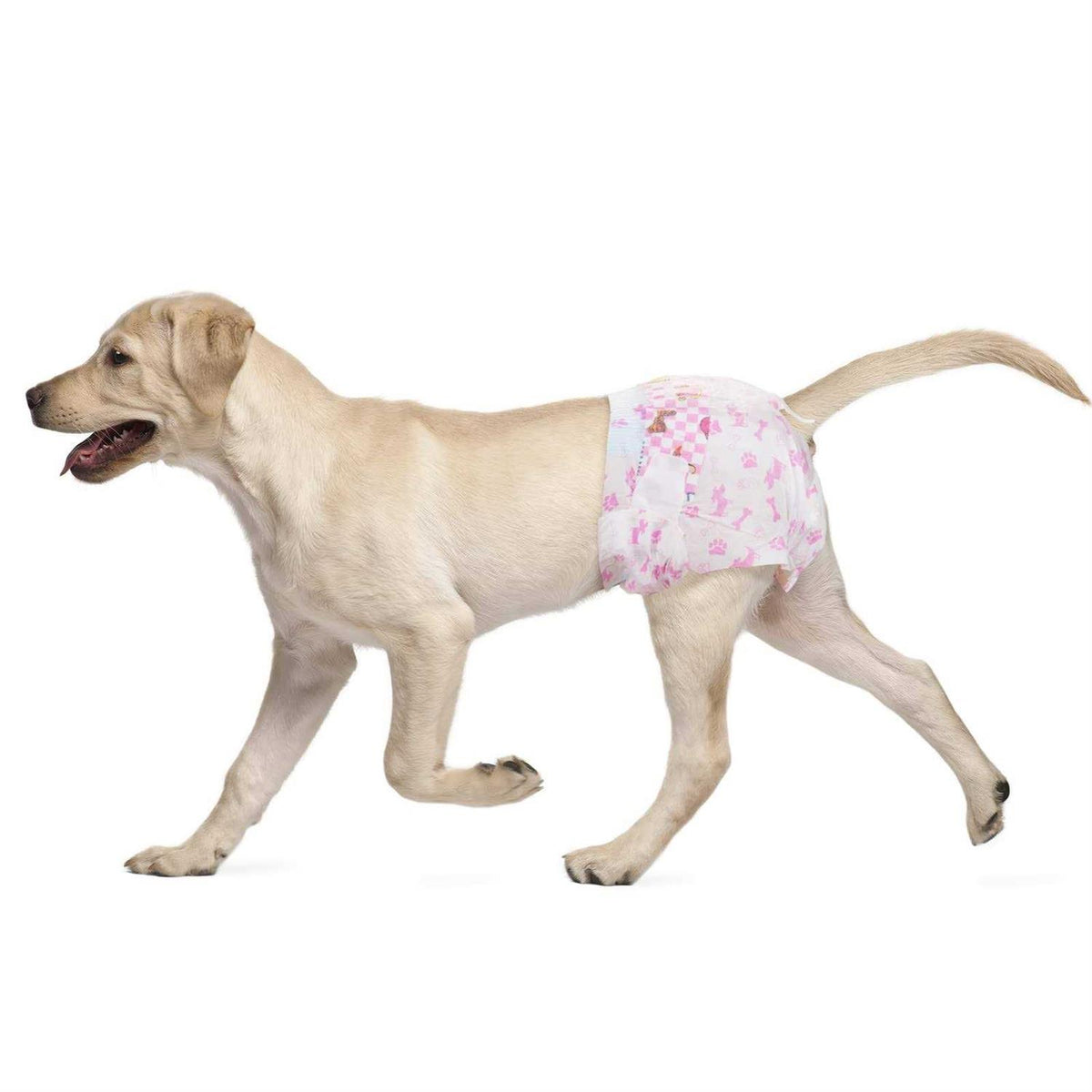 Disposable Female Dog Diapers Super Absorbent J133007