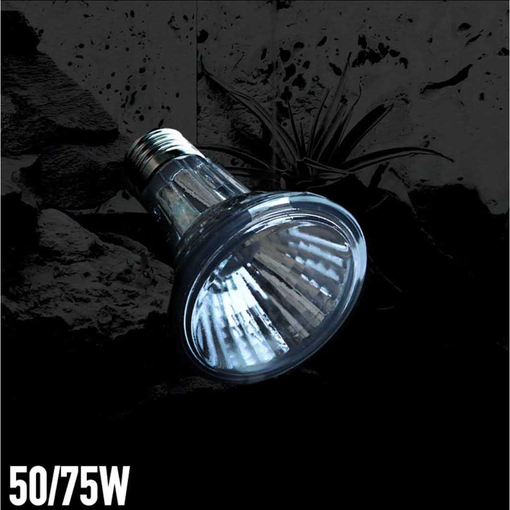 Halogen Heat Lamp C399