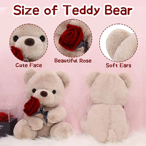 10 Inch Teddy Bear Plush Stuffed Animal with Rose Z686
