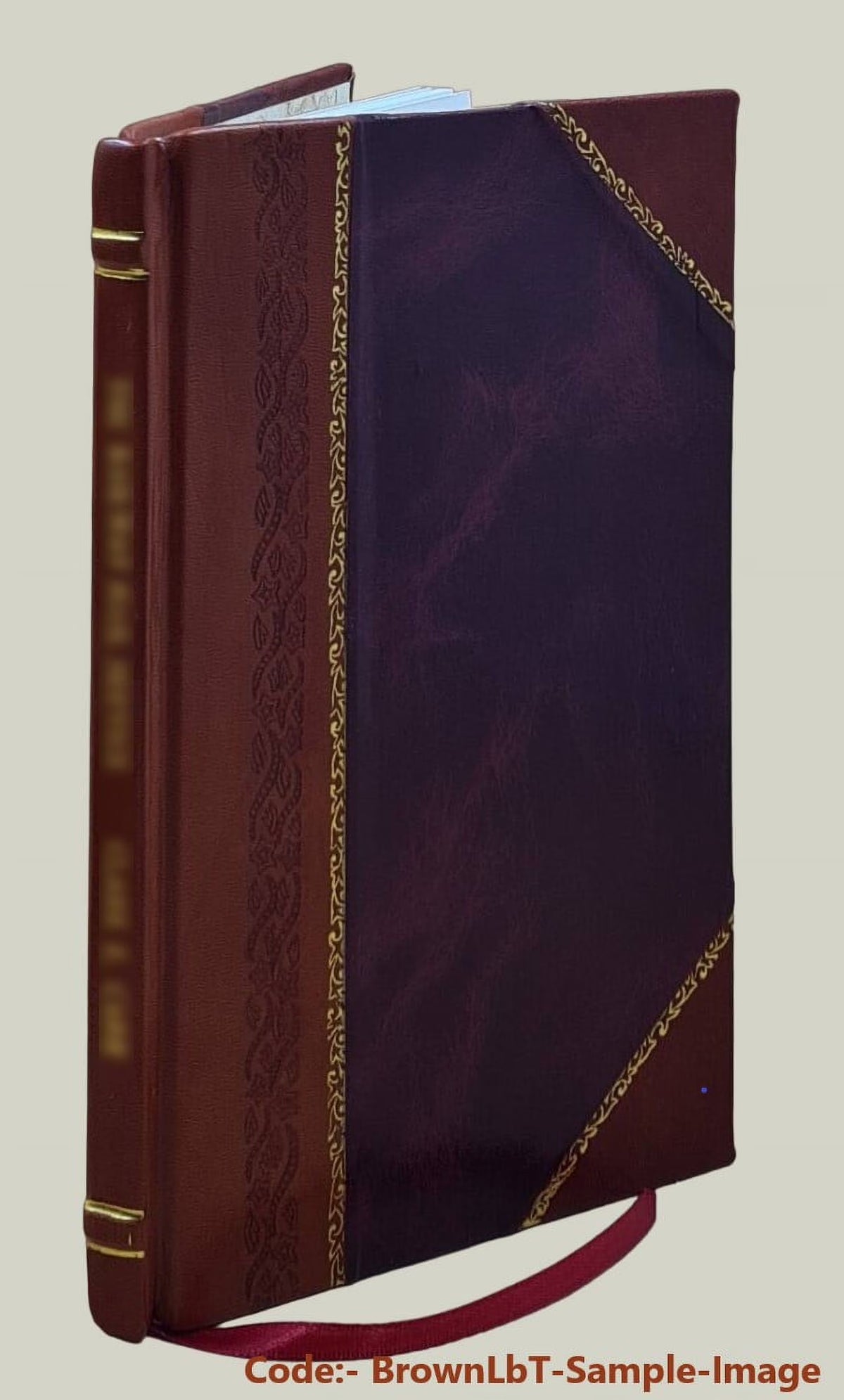 Leather Bound Book S371