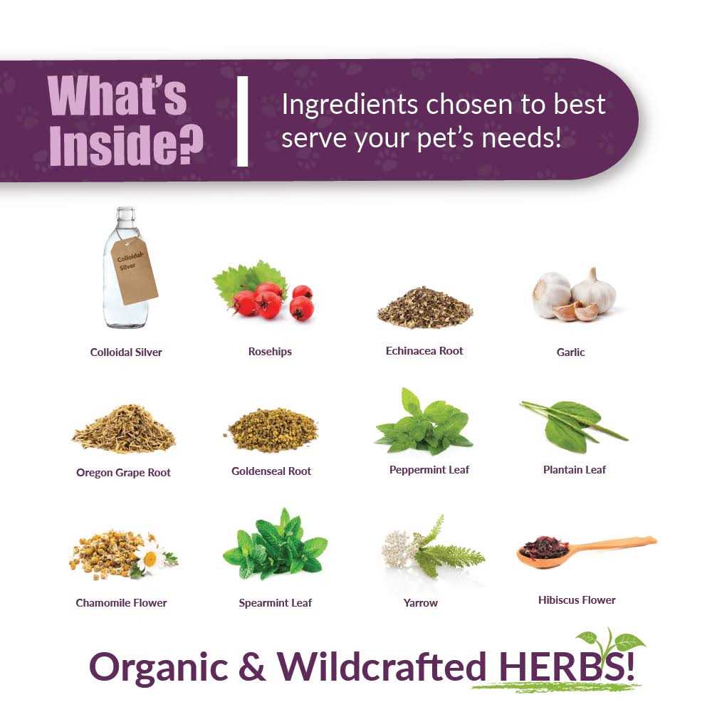 Paxaid Digestive & Immune Support Pet Supplies I1604