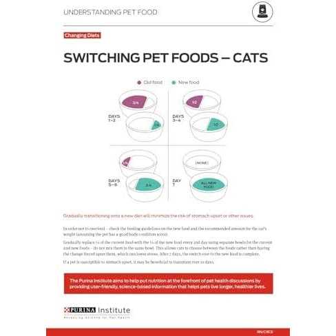 Cheese Entree in Gravy Cat Food J89931