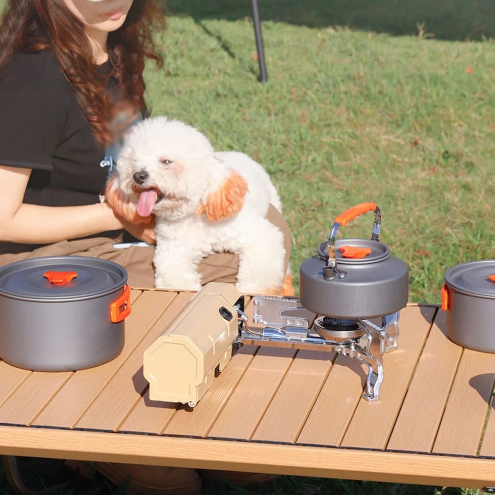 Butane Camping Stove 2600W with Electronic Ignition Carrying Bag S988704