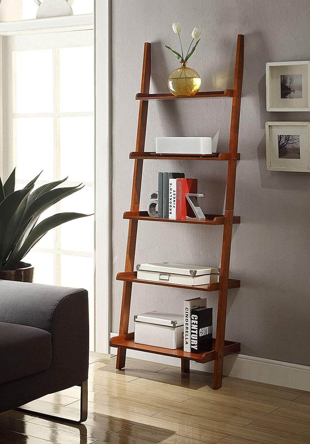 Espresso Bookshelf Ladder W7051