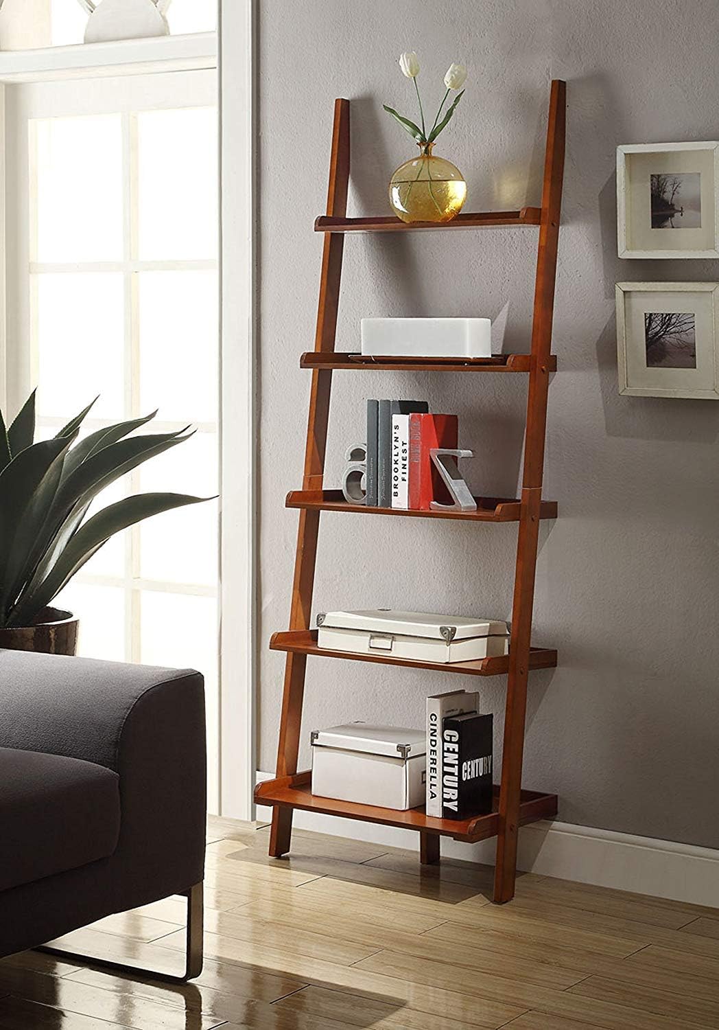 Espresso Bookshelf Ladder W7051