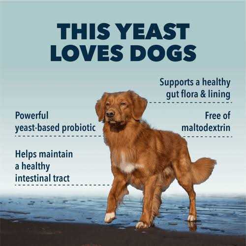 Digestive Enzymes and Probiotics for Dogs A103