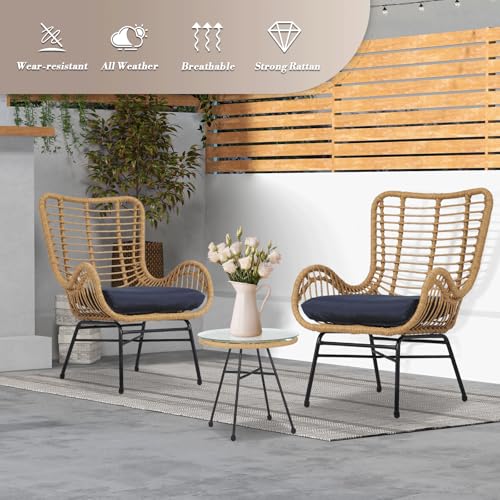 3 Pieces Rattan Outdoor Table and Chairs Set with Cushion D66764
