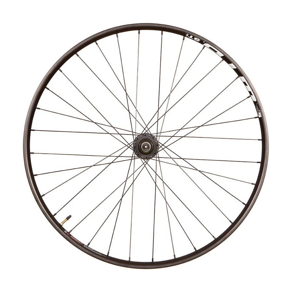 29'' Front Disc Wheel 32H 15mm TA 110mm F87897