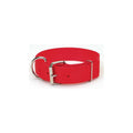 Black Nylon Dog Collar B49455