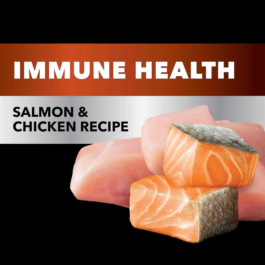 Salmon Chicken Recipe Adult Dry Cat Food Z1715