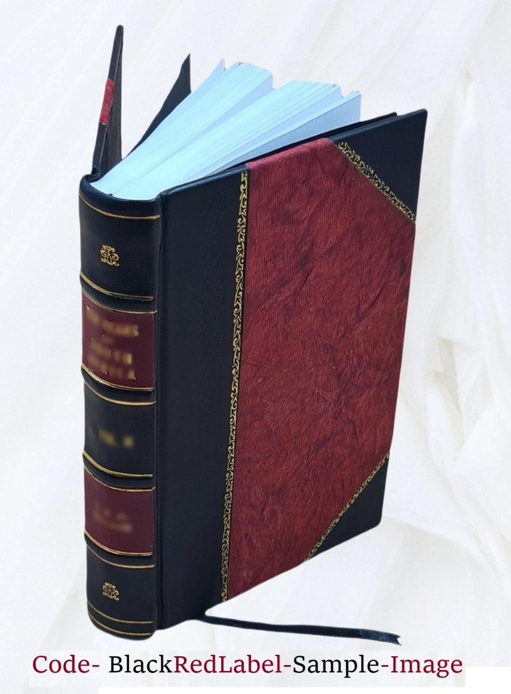 Leather Bound Book B876746