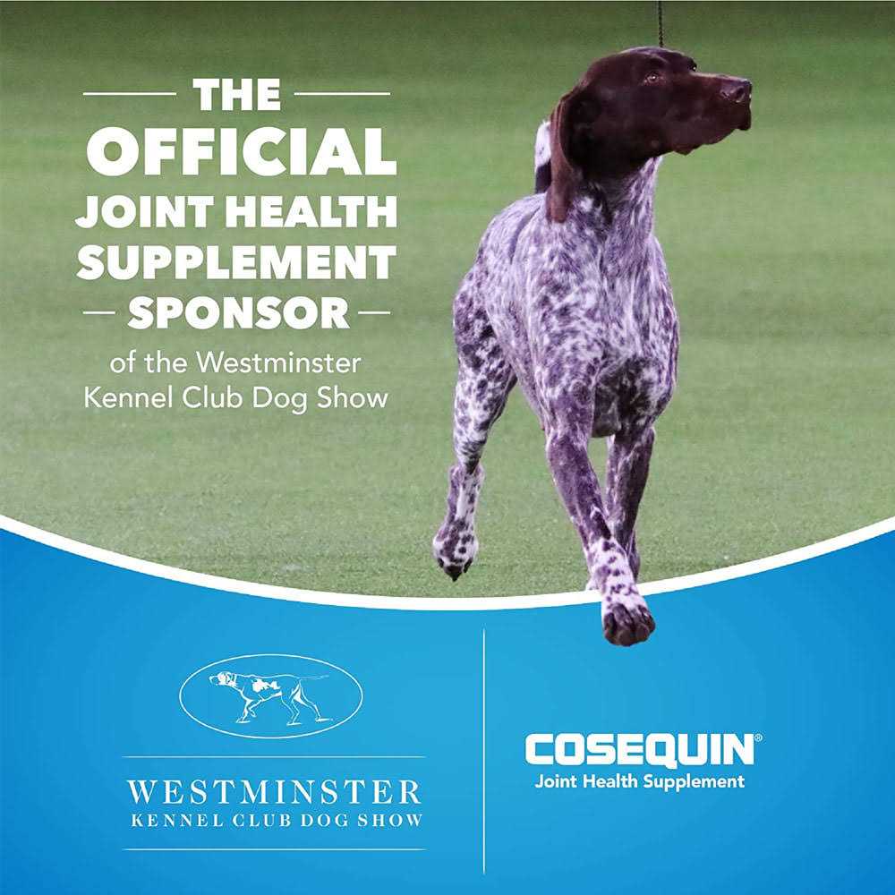 Joint Health Supplement for Senior Dogs S790